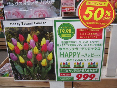チューリップの球根の品種と購入 ブロックで簡単チューリップ花壇の作り方