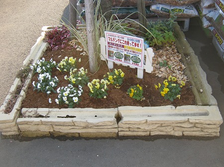 花壇ブロック コンクリートブロック 花壇を縁取る ブロックで簡単チューリップ花壇の作り方
